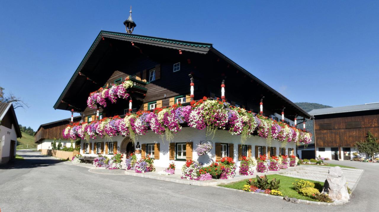 Thomanhof Chalet-Appartement Saalfelden Exterior foto